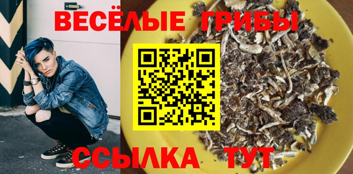 Галлюциногенные грибы GOLDEN TEACHER  Вход с VPN  Ярцево 